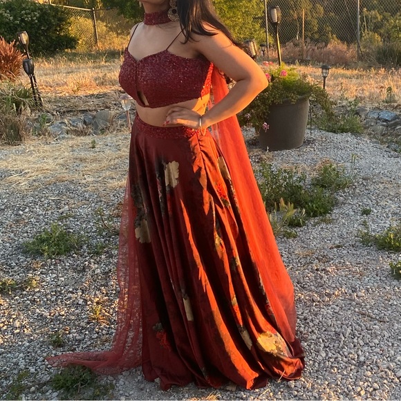 Beautiful red lehenga with red sequin blouse - Picture 6 of 10